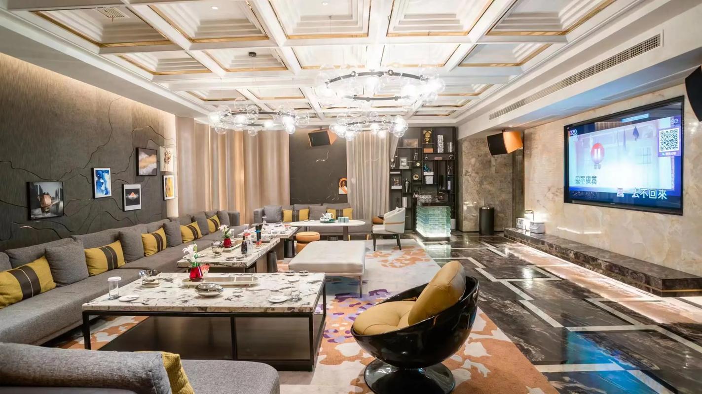 嘉兴商务ktv攻略-桐乡市ktv预定